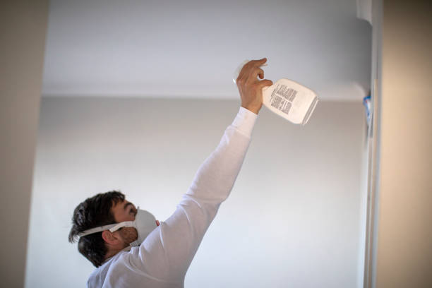 Best White Mold Remediation in East Hills, NY