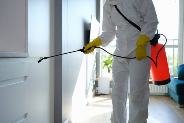 Best Mold Remediation for Schools in East Hills, NY